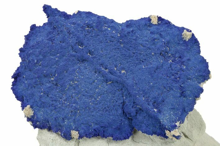 Vibrant Blue Azurite Sun on Siltstone - Australia #217955